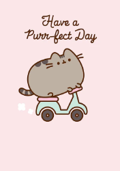 Pusheen Vespa Birthday Greeting Card