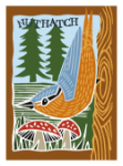 Nuthatch Blank Greeting Card