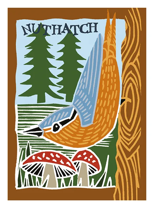 Nuthatch Blank Greeting Card