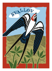 Swallow Blank Greeting Card