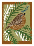 Wren Blank Greeting Card