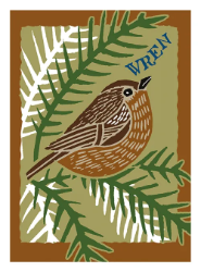 Wren Blank Greeting Card