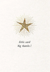 Star Big Thank You Greeting Card