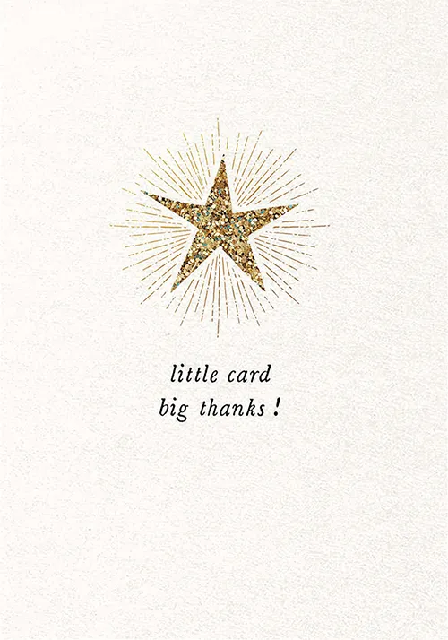 Star Big Thank You Greeting Card
