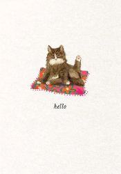 Cat Hello Friendship Greeting Card