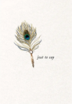 Feather To Say Friendship Greeting Card