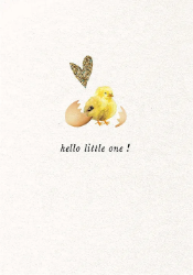 Little Chick New Baby Greeting Card