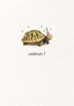 Tortoise Congratulations Greeting Card