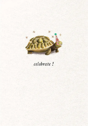 Tortoise Congratulations Greeting Card