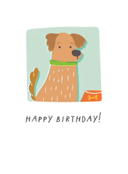Dog Dish Birthday Greeting Card