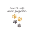 Paws Sympathy Greeting Card