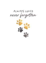 Paws Sympathy Greeting Card
