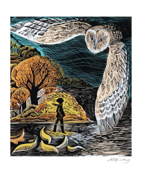 October Owl Blank Card