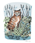 Ginger Cat & Fern Blank Card