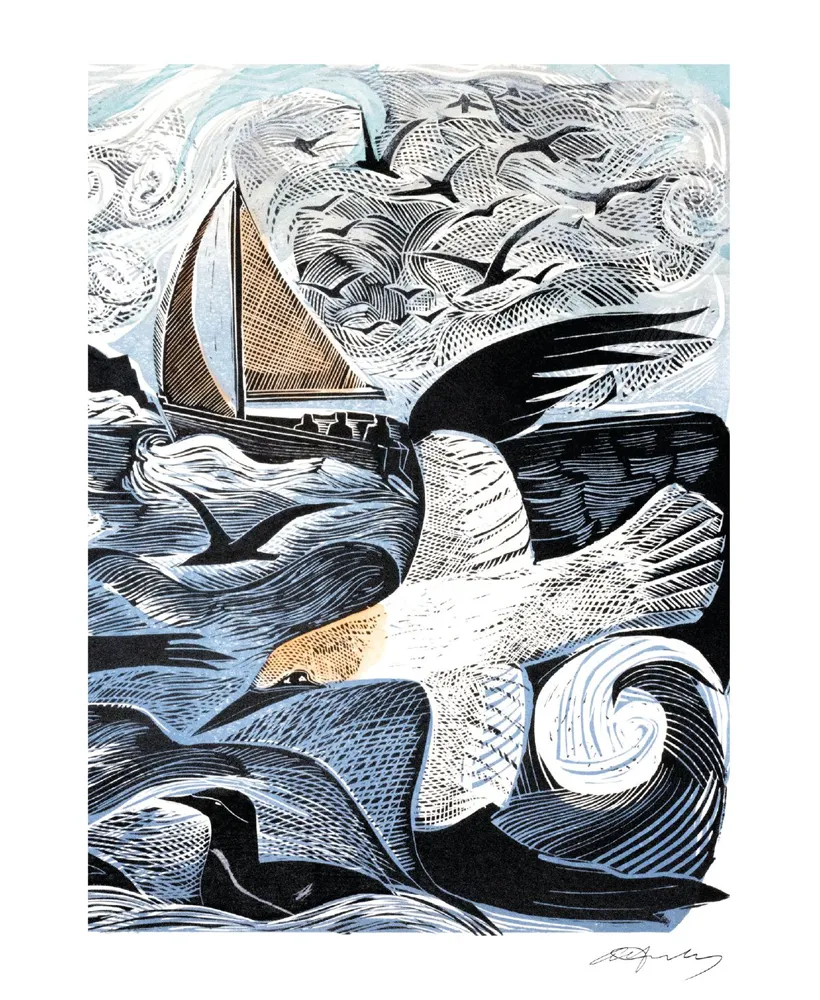 Island Gannets Blank Card