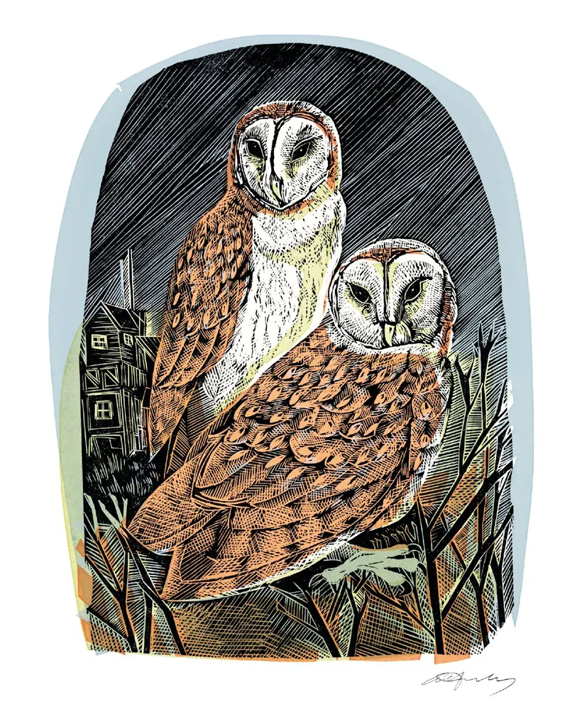 Barn Owls Blank Card