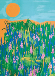 Sunrise Blank Card