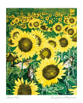 Sunflower Sparrow Blank Card