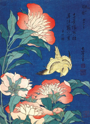 Peony & Canary Blank Card