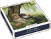 Lazy Days Boxed Notecards