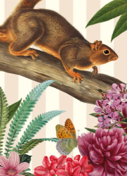 Redtail Squirrel Blank Card