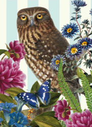 Morepork Owl Blank Card