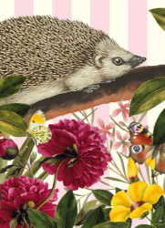 Hedgehog Blank Card