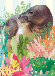 Grey Seal Blank Card