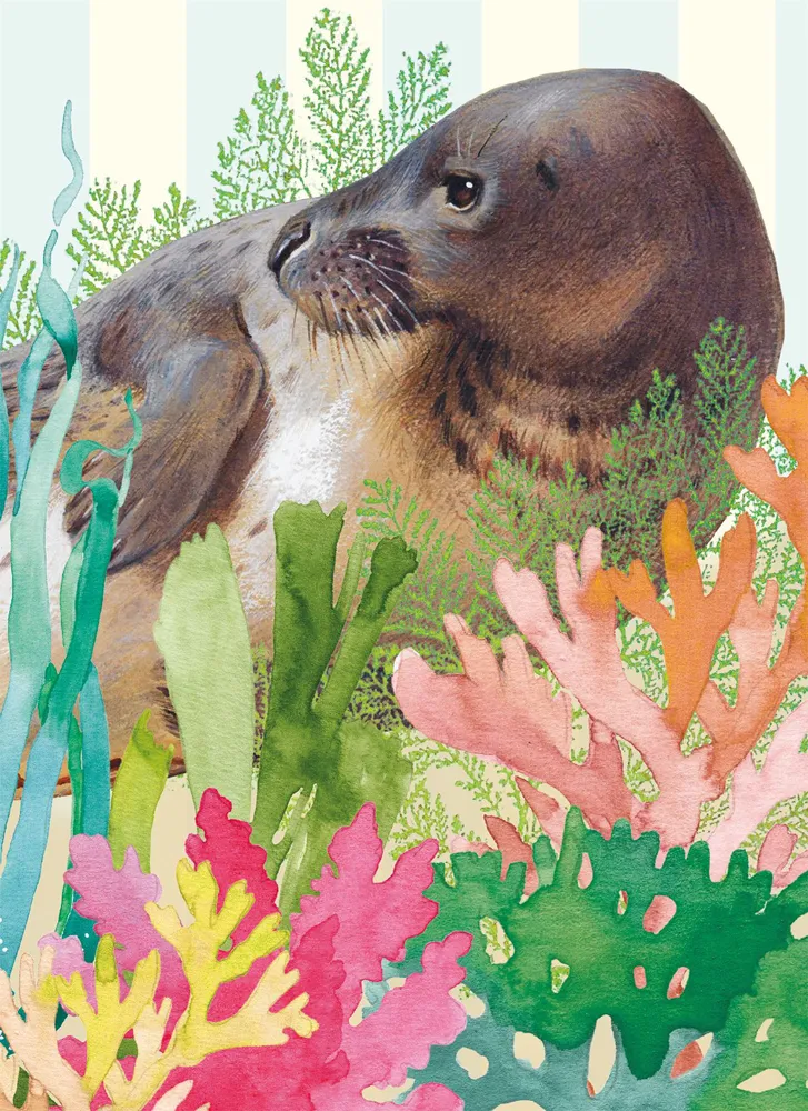 Grey Seal Blank Card