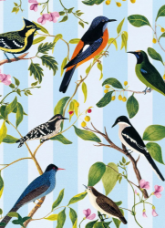 Rock Thrush Blank Card