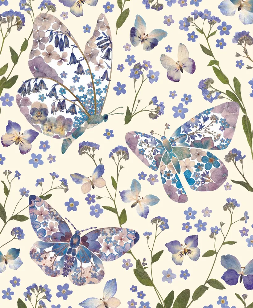Butterfly Sky Blank Card