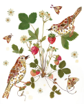 Strawberry Thief Blank Card