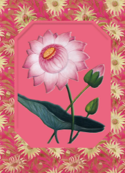 Waterlily Blank Card