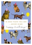 Dog Years Birthday Greeting Card