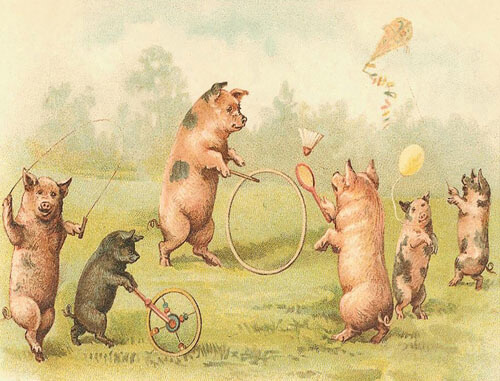 Piggy Party Blank Greeting Card