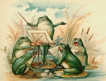 Frog Chorus Blank Greeting Card