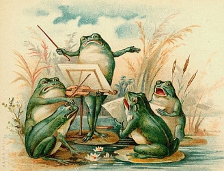 Frog Chorus Blank Greeting Card