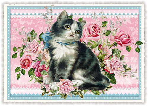 Kitten Roses Blank Postcard