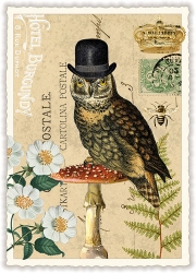 Owl Hat Blank Postcard