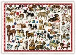 Doggies Blank Postcard