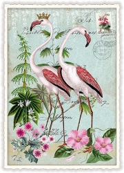 Flamingos Blank Postcard