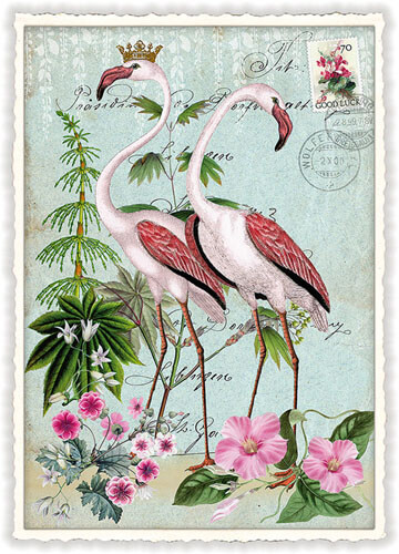 Flamingos Blank Postcard