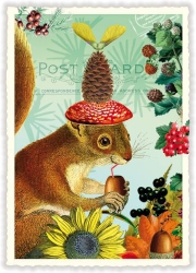 Squirrel Nuts Blank Postcard