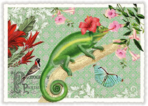 Gecko Tropical Blank Postcard