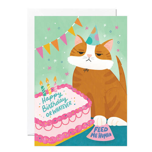 Bday Cat Cake Birthday Greeting Card