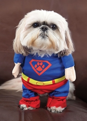 Superhero Dog Birthday Card 