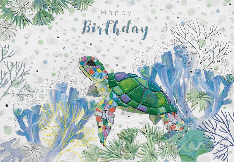 Turnowsky Sea Turtle Birthday Card MO7175