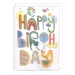 Cat Text Birthday Card - MO9375X1