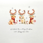 Reindeer Dogs Greeting Card