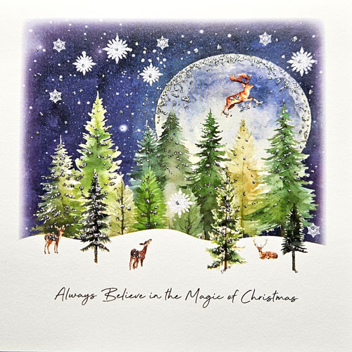 Magic Christmas Greeting Card